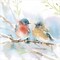Bluebird Pair in Spring by Katrina Pete 12" x 12" Canvas Wall Art
